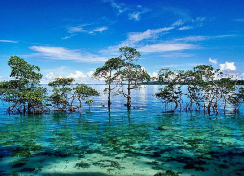 Island Of Andaman