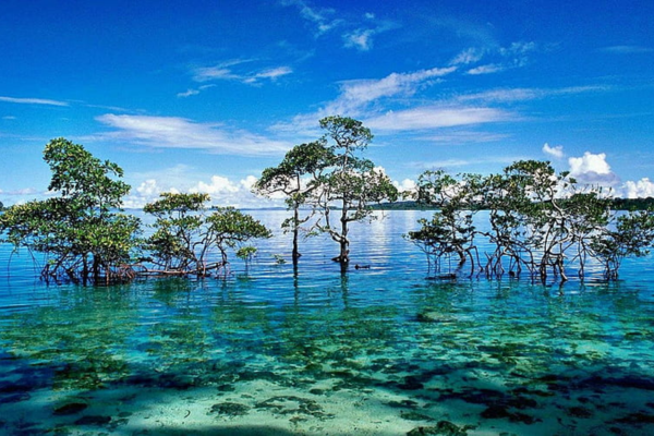 Island Of Andaman